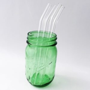 Clear Barely Bent Glass Straw Set