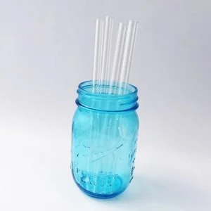 Clear Glass Straw Set
