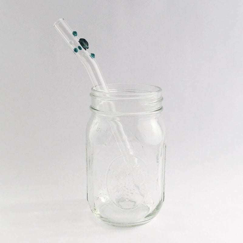 Ian Somerhalder Foundation Glass Straw