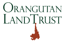 Orangutan Land Trust Logo