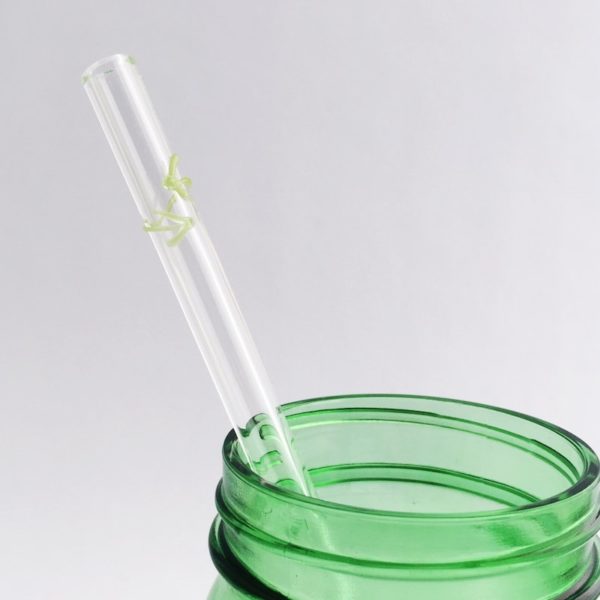 Post-Action Landfill Network Glass Straw