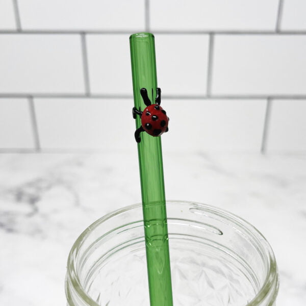 Red Ladybug Glass Straw